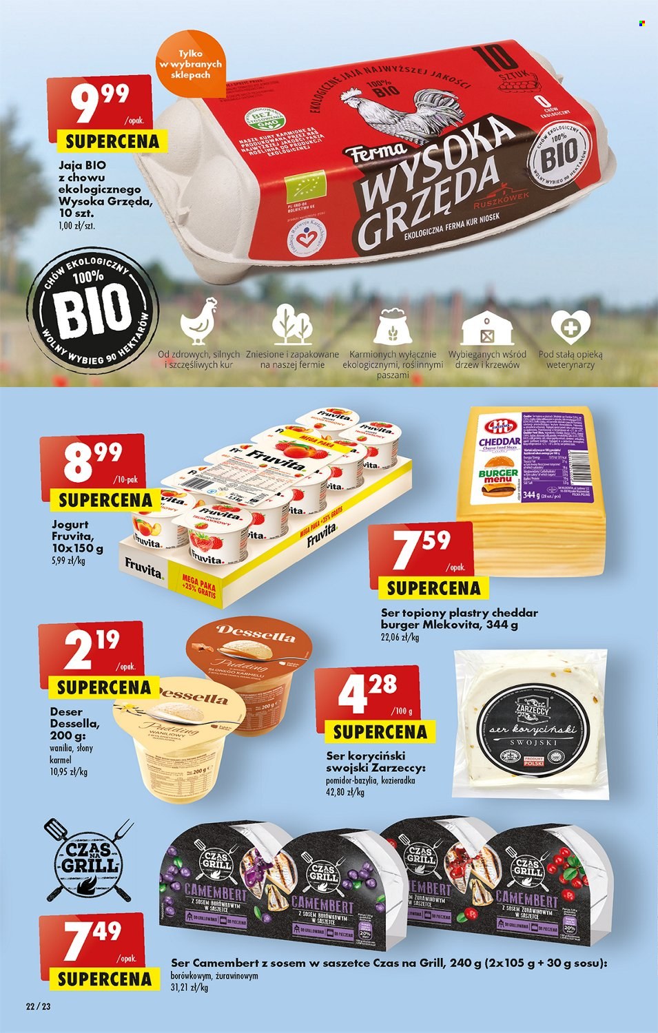 Gazetka Biedronka - 23.06.2022 - 29.06.2022. Strona 22