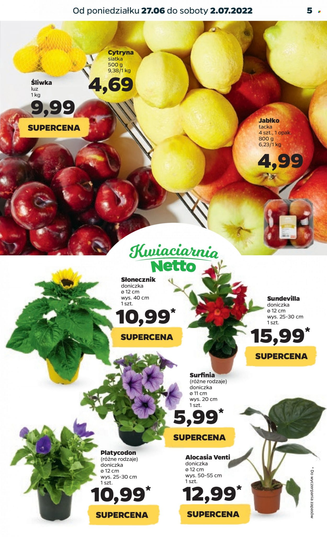 Gazetka Netto - 27.06.2022 - 2.07.2022. Strona 5
