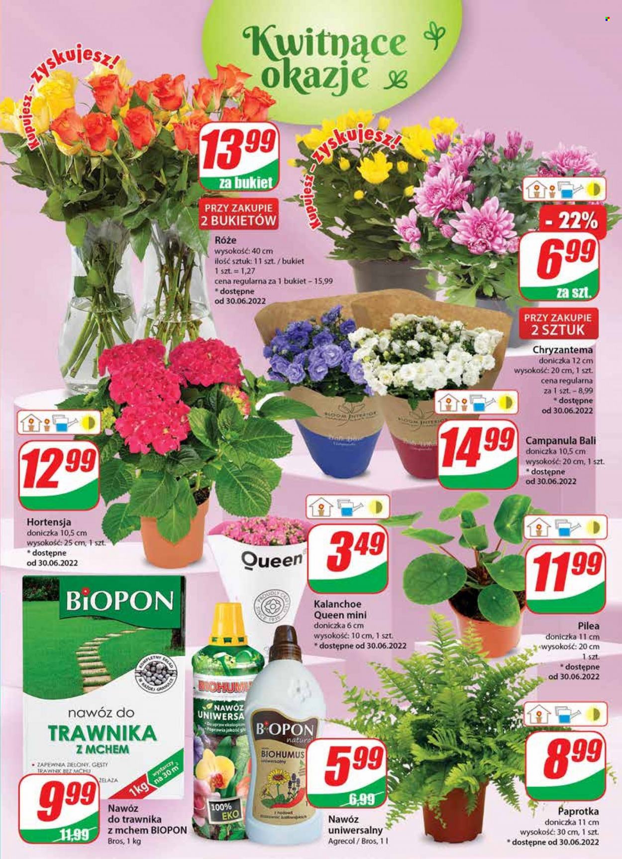 Gazetka Dino - 29.06.2022 - 5.07.2022. Strona 19