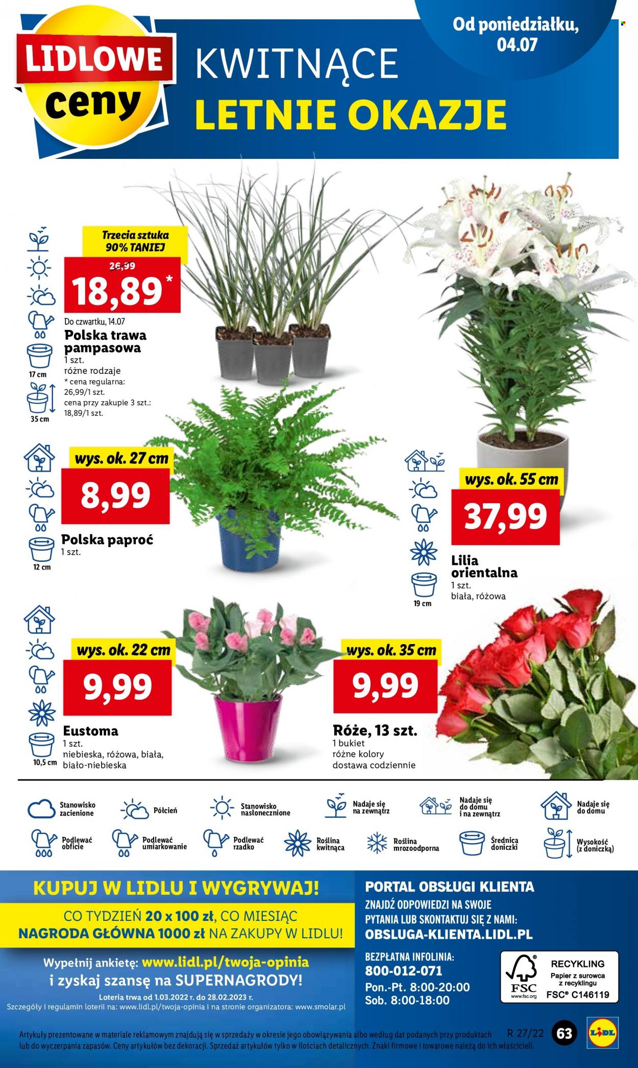 Gazetka Lidl - 4.07.2022 - 6.07.2022. Strona 63