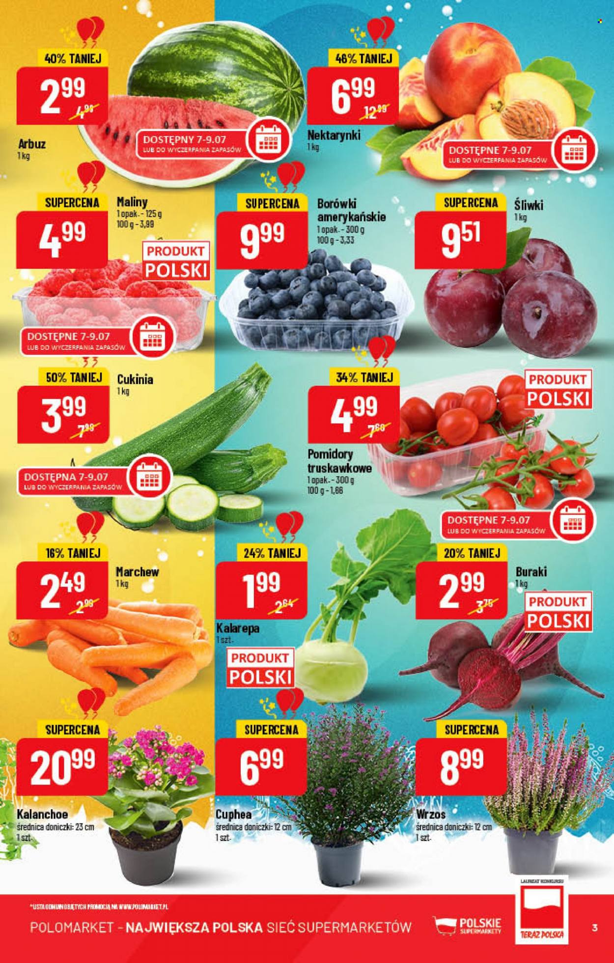 Gazetka Polomarket - 6.07.2022 - 12.07.2022. Strona 3