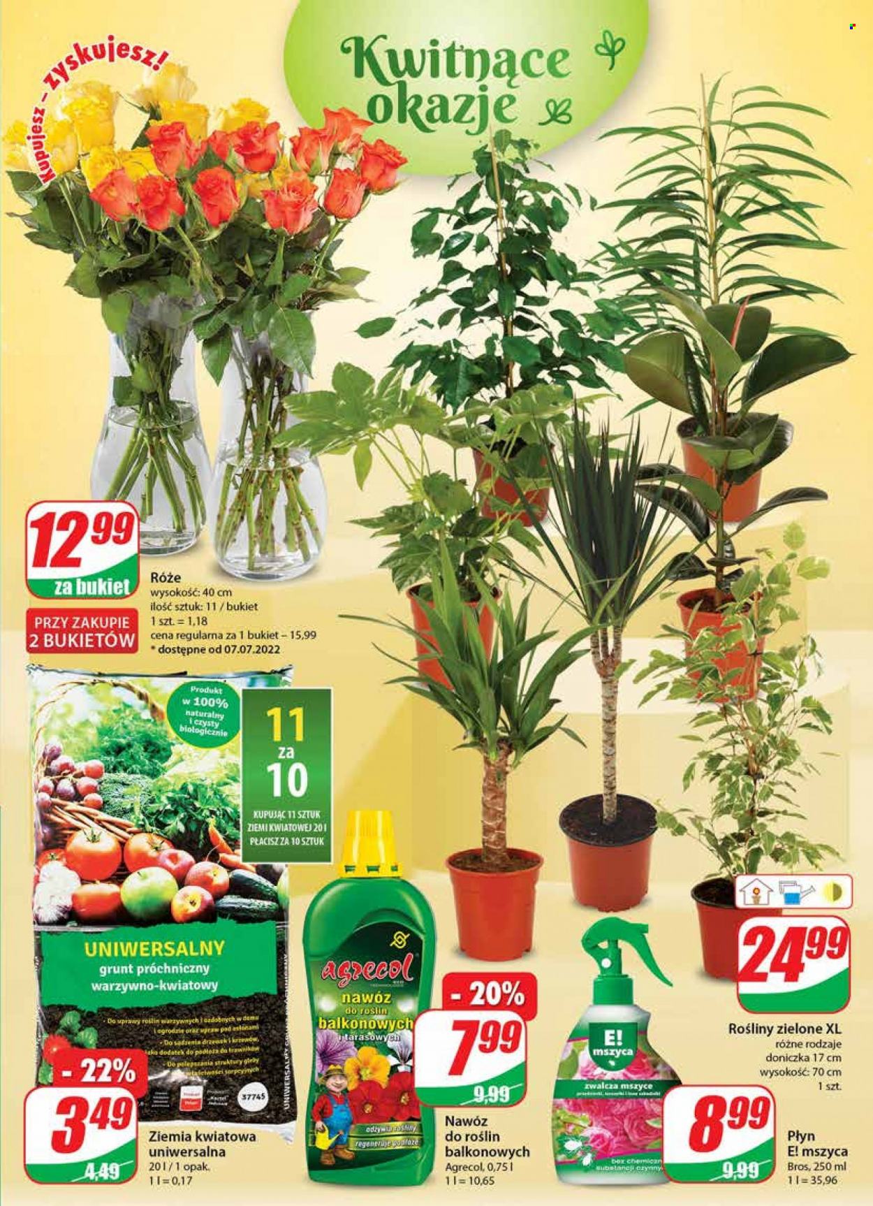 Gazetka Dino - 6.07.2022 - 12.07.2022. Strona 19