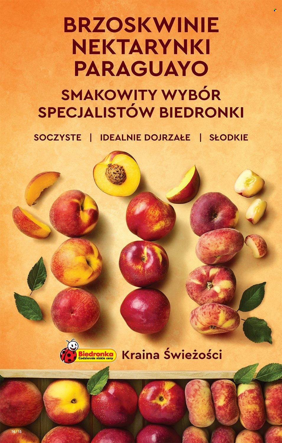 Gazetka Biedronka - 7.07.2022 - 13.07.2022. Strona 14