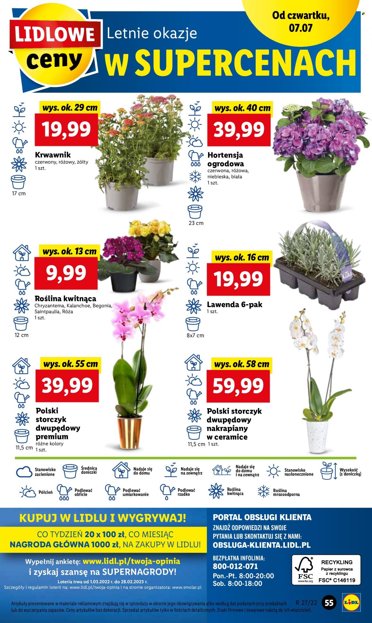 Gazetka Lidl - 7.07.2022 - 9.07.2022. Strona 55
