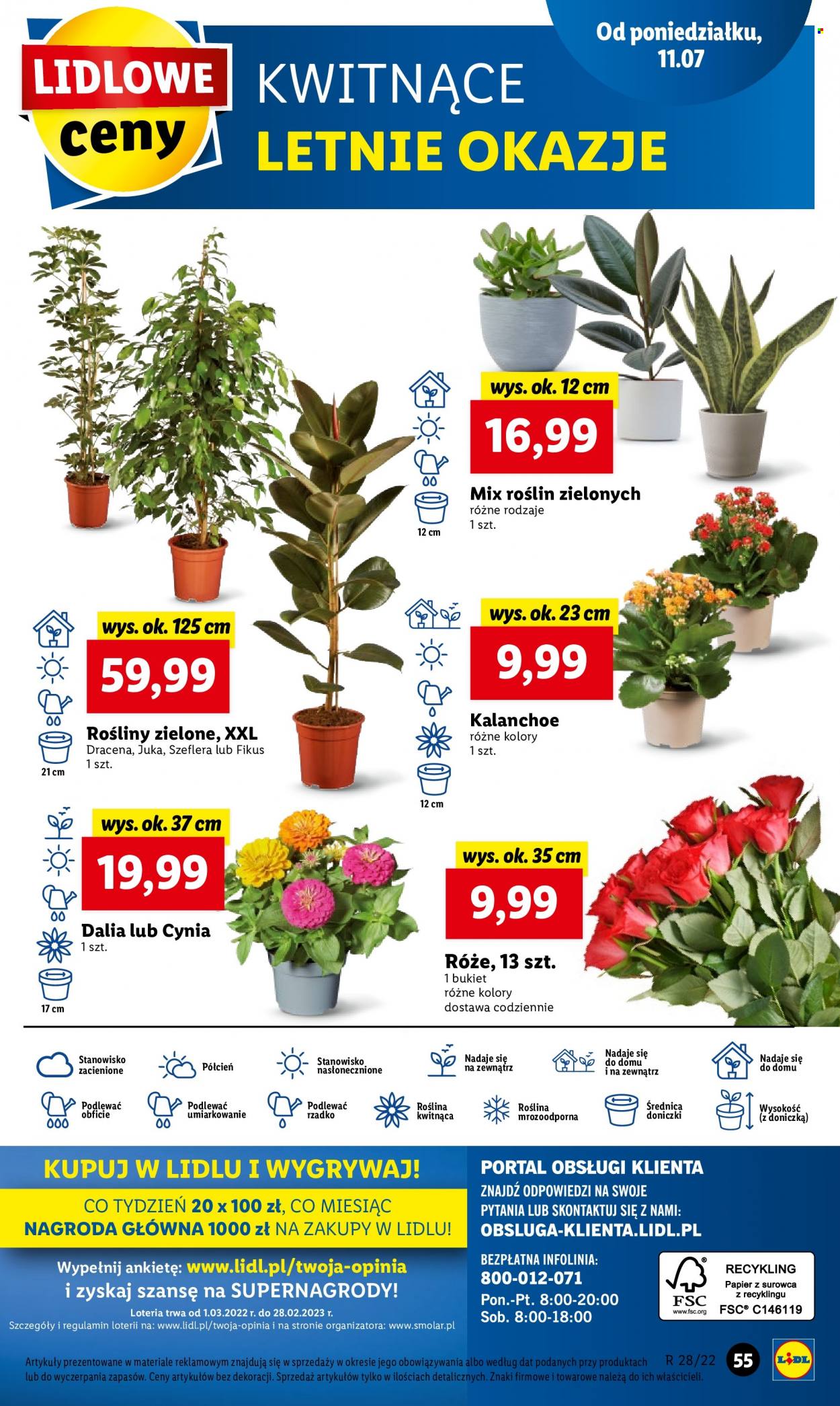 Gazetka Lidl - 11.07.2022 - 11.07.2022. Strona 55