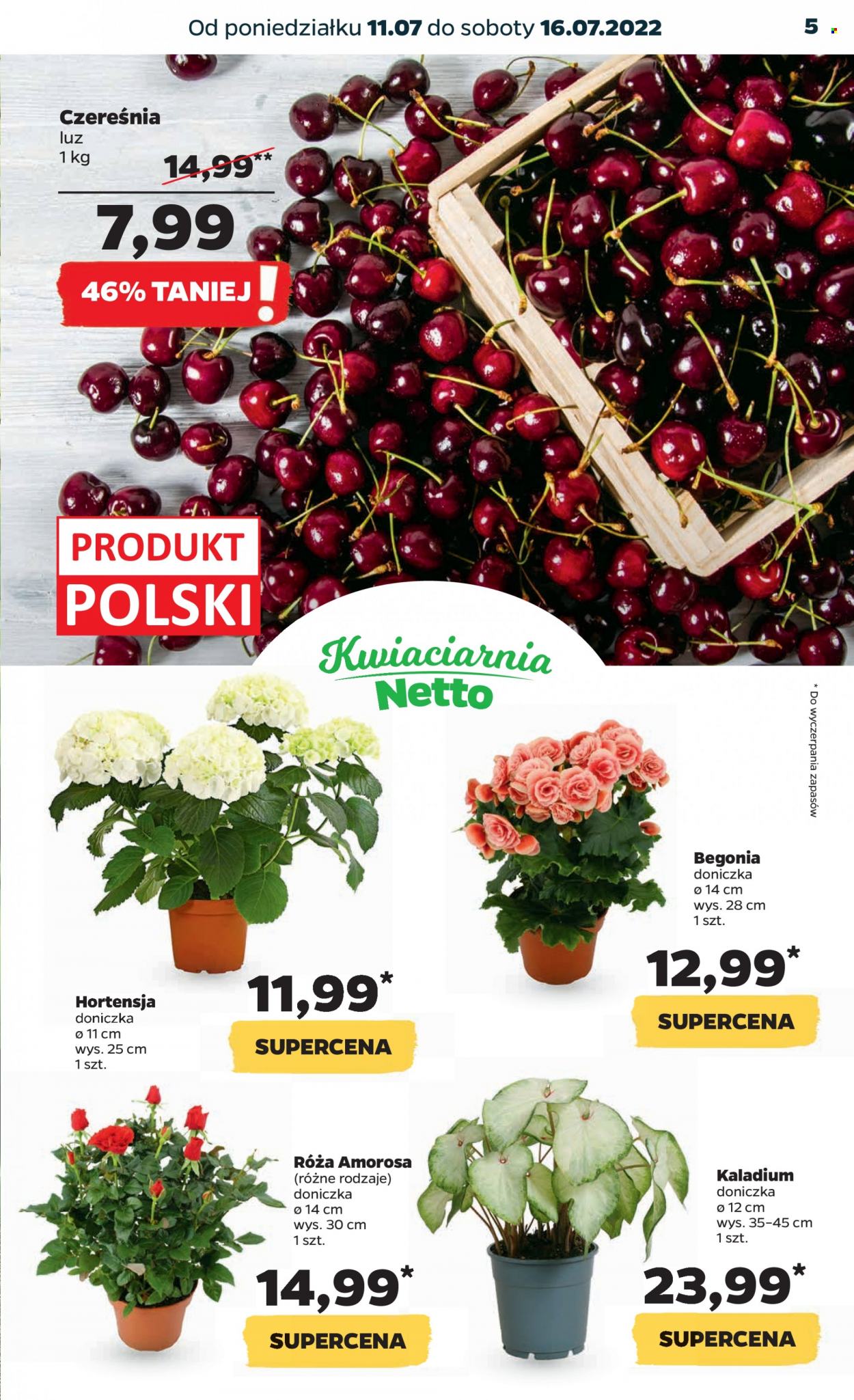 Gazetka Netto - 11.07.2022 - 16.07.2022. Strona 5