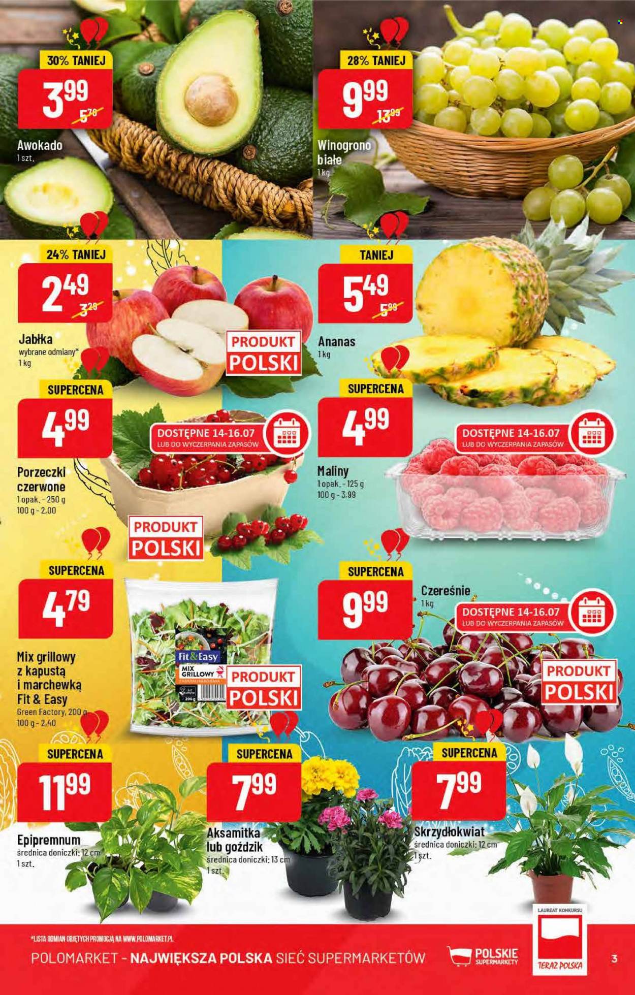 Gazetka Polomarket - 13.07.2022 - 19.07.2022. Strona 3