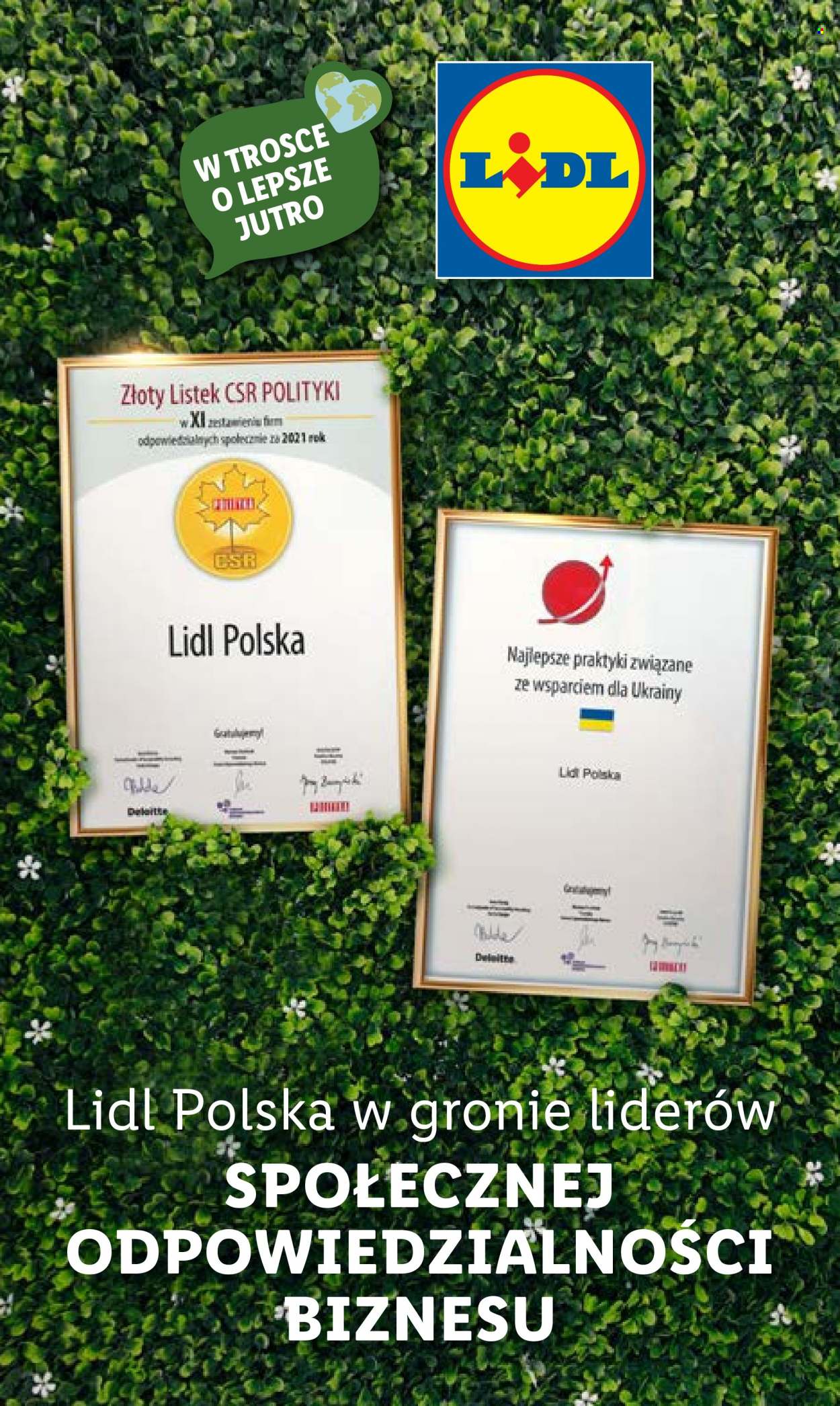Gazetka Lidl - 11.07.2022 - 13.07.2022. Strona 13