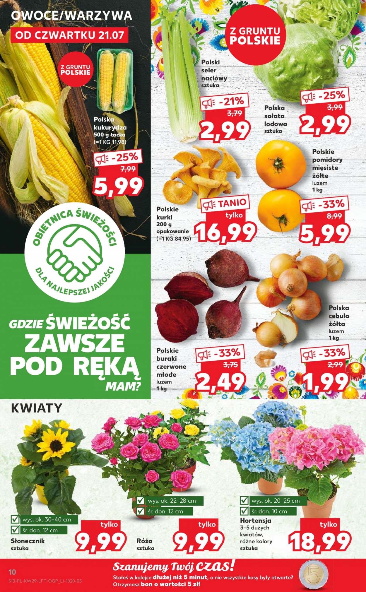Gazetka Kaufland - 21.07.2022 - 27.07.2022. Strona 10
