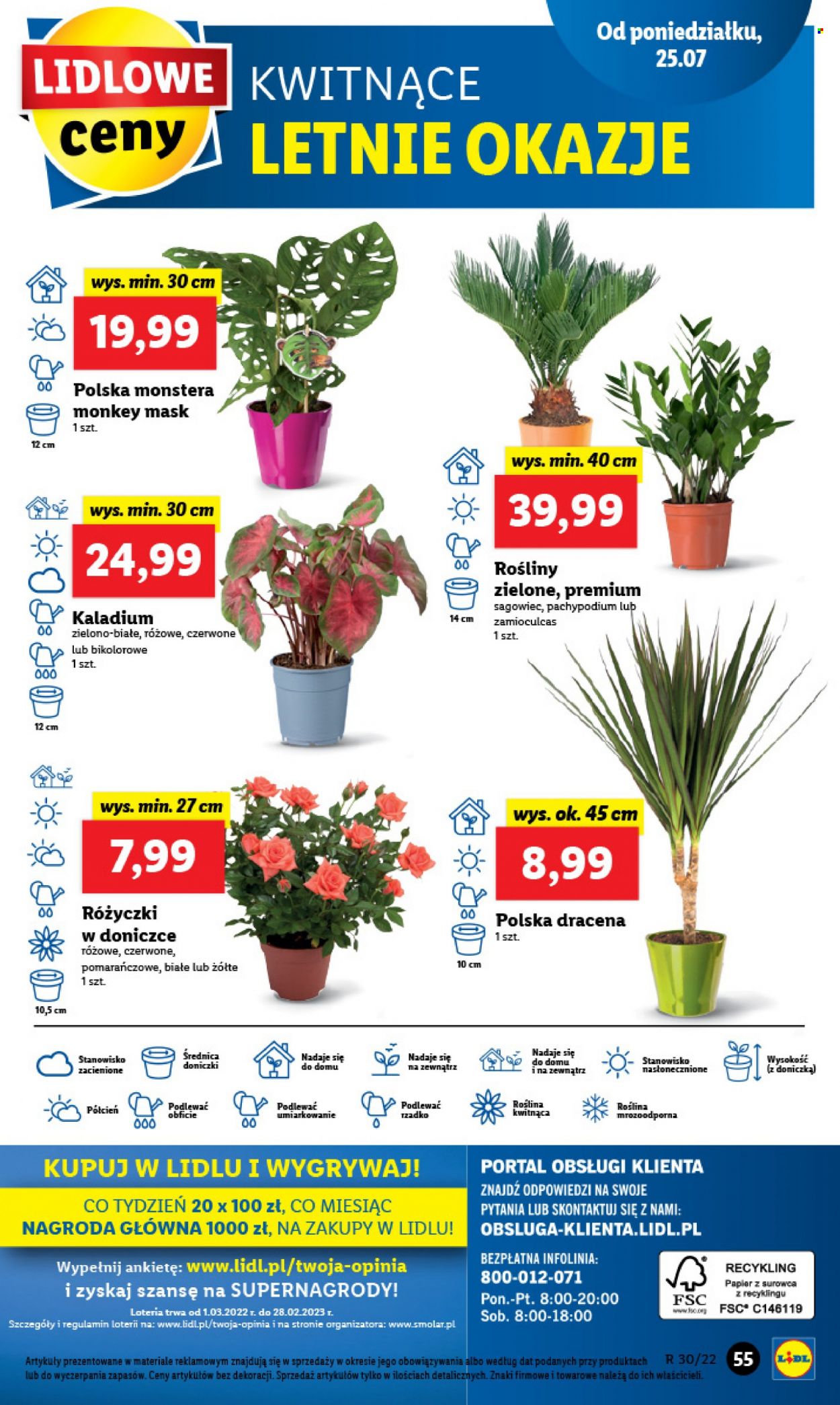 Gazetka Lidl - 25.07.2022 - 27.07.2022. Strona 59