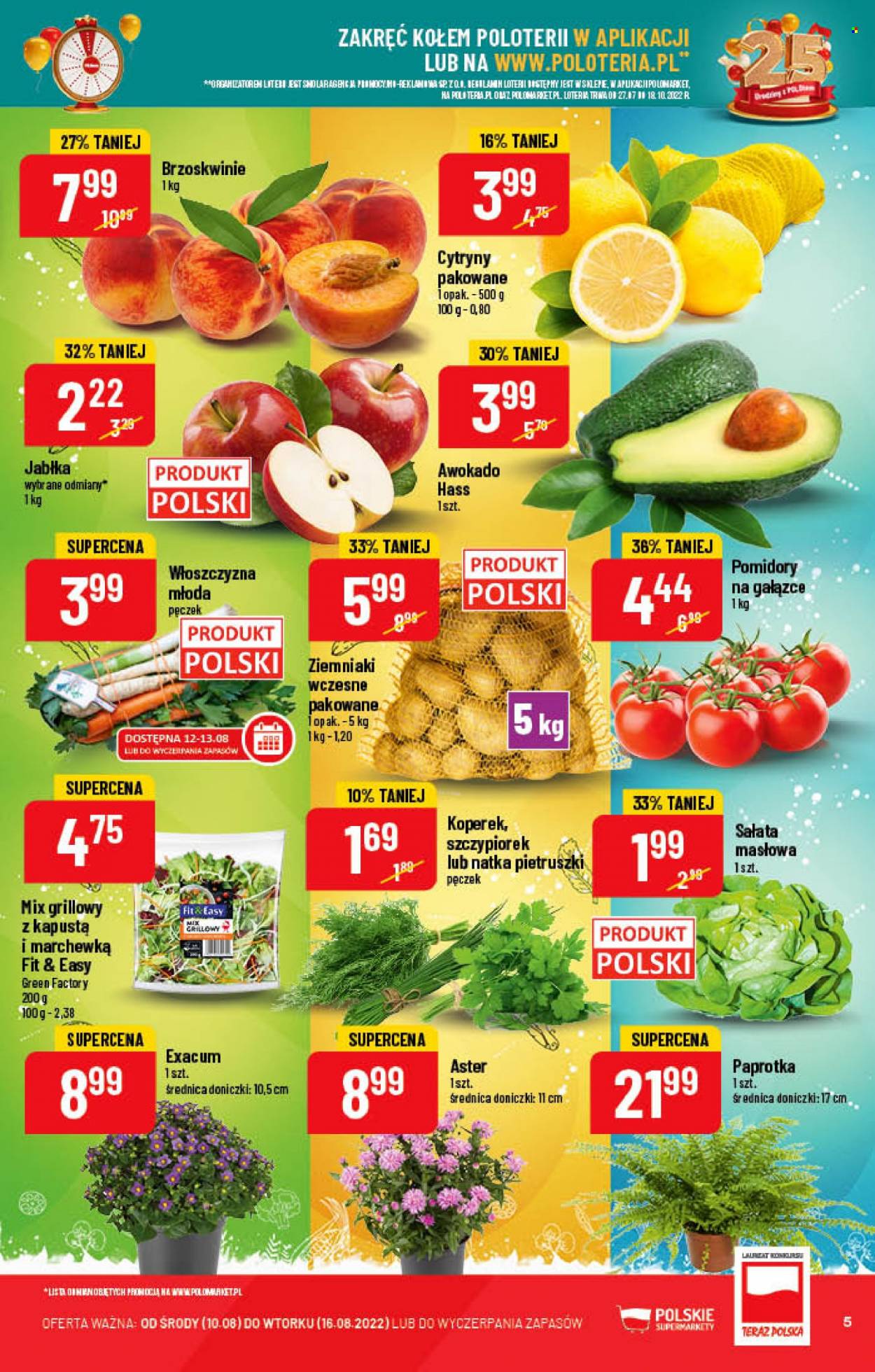 Gazetka Polomarket - 10.08.2022 - 16.08.2022. Strona 5