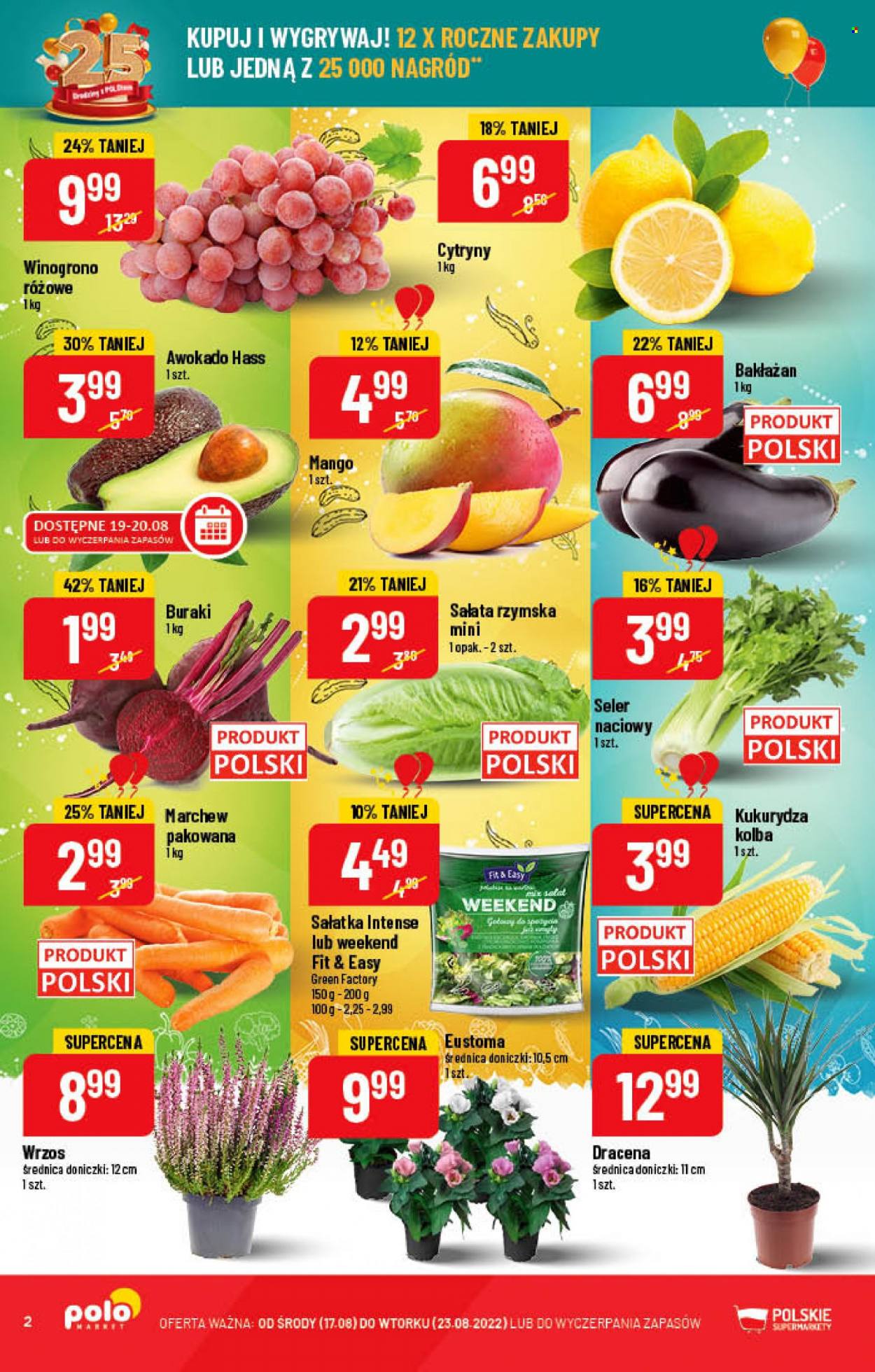 Gazetka Polomarket - 17.08.2022 - 23.08.2022. Strona 2