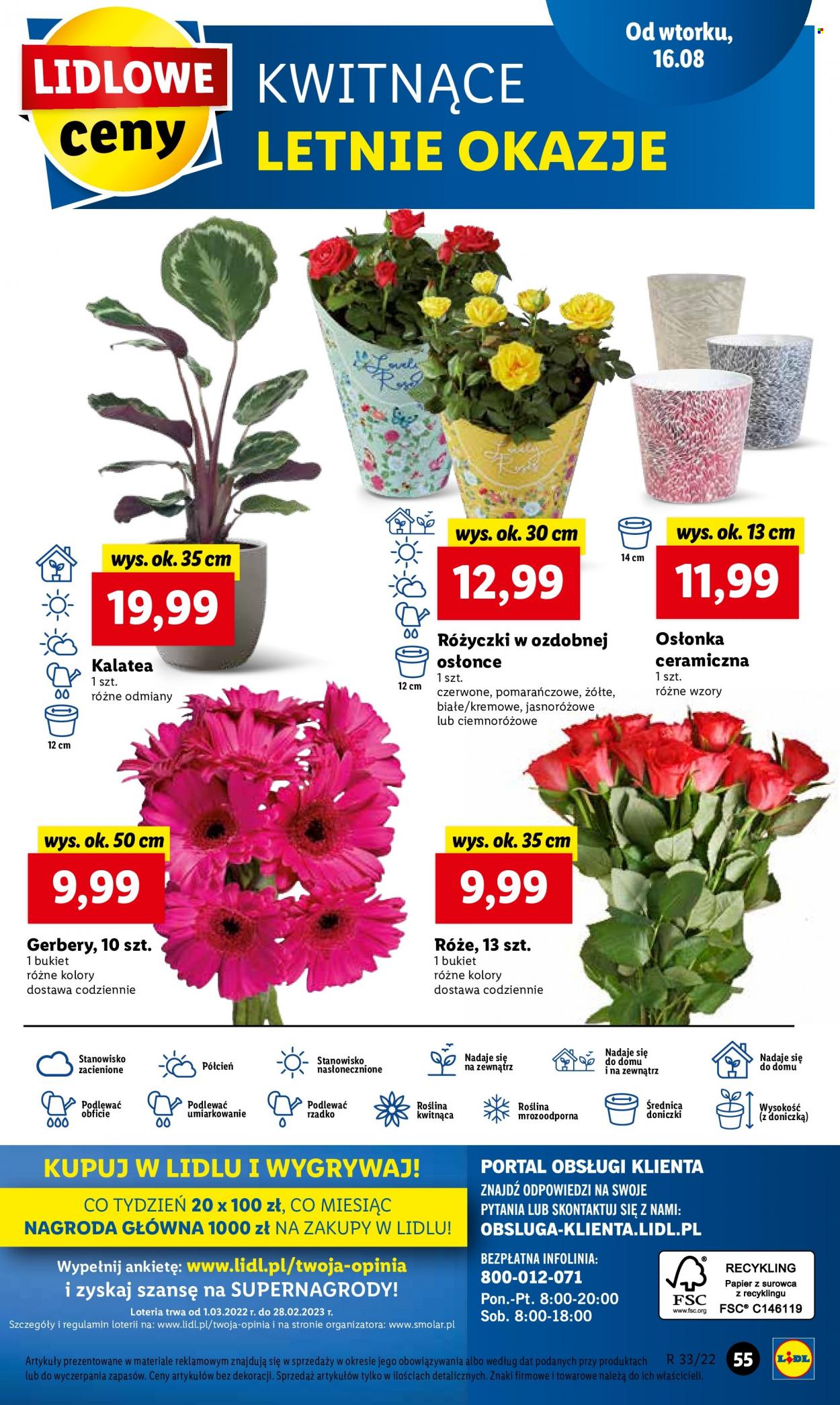 Gazetka Lidl - 16.08.2022 - 17.08.2022. Strona 59