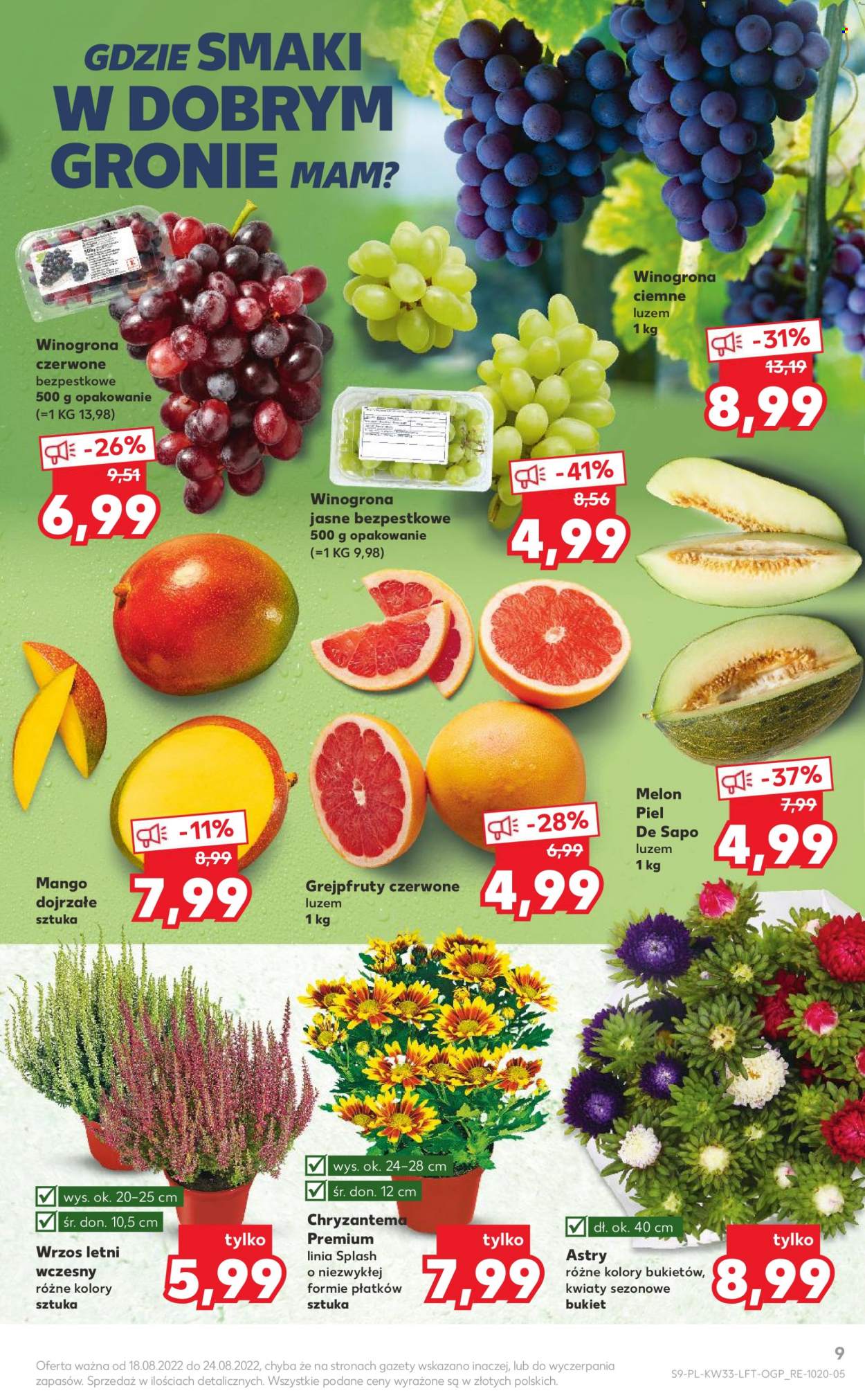 Gazetka Kaufland - 18.08.2022 - 24.08.2022. Strona 9