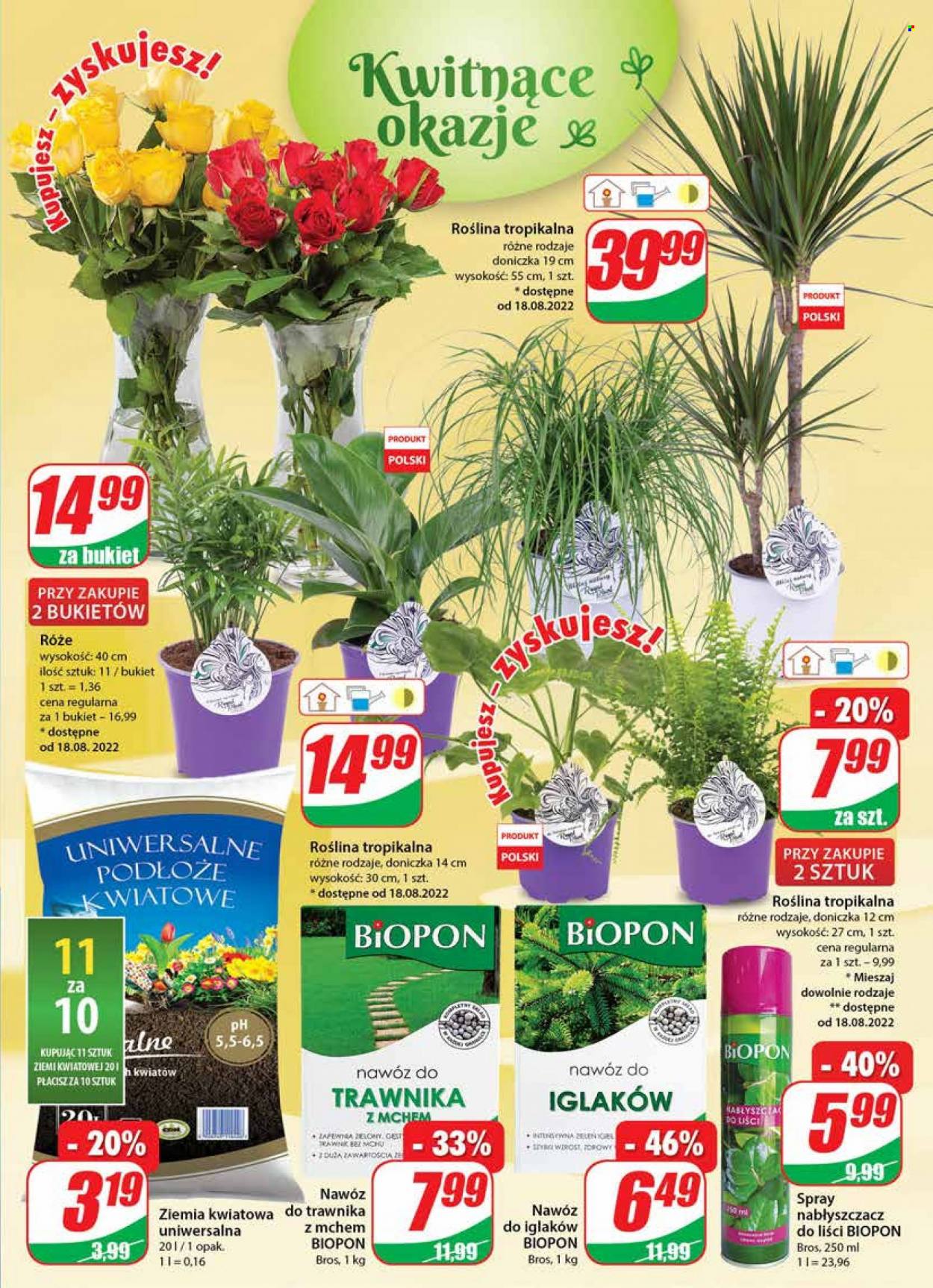 Gazetka Dino - 17.08.2022 - 23.08.2022. Strona 17