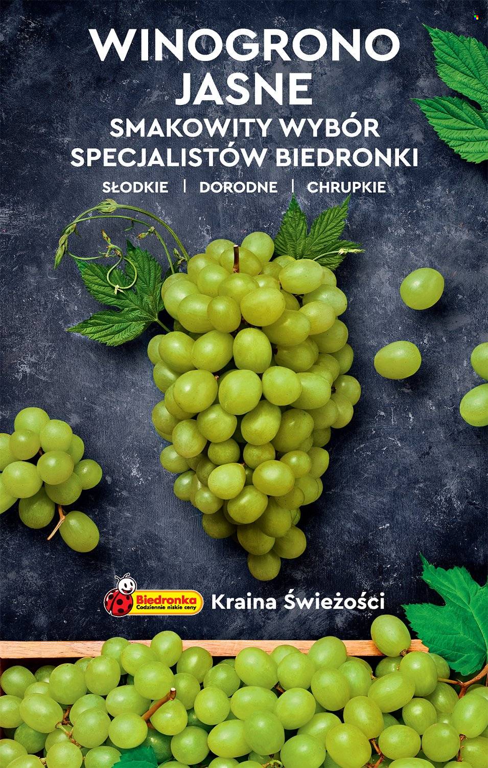 Gazetka Biedronka - 22.08.2022 - 28.08.2022. Strona 51
