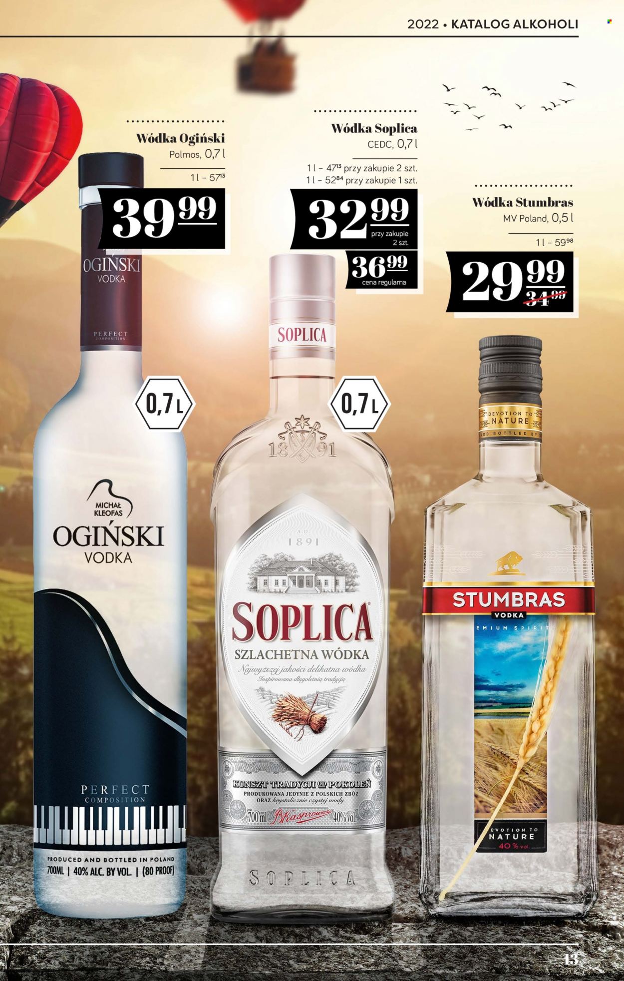 Gazetka Polomarket - 25.08.2022 - 21.09.2022. Strona 13