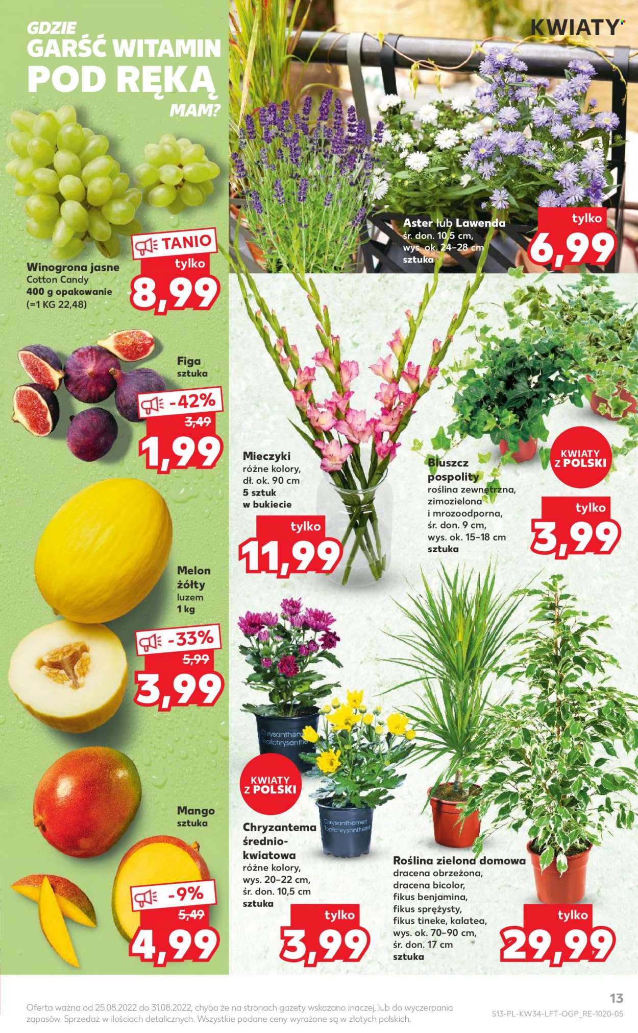 Gazetka Kaufland - 25.08.2022 - 31.08.2022. Strona 13