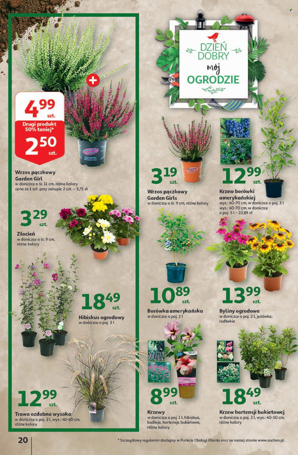 Gazetka Auchan - 25.08.2022 - 31.08.2022. Strona 20