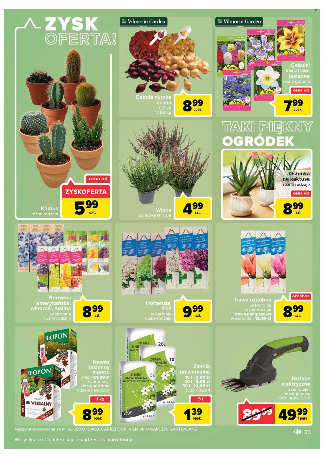 Gazetka Carrefour - 30.08.2022 - 10.09.2022. Strona 35