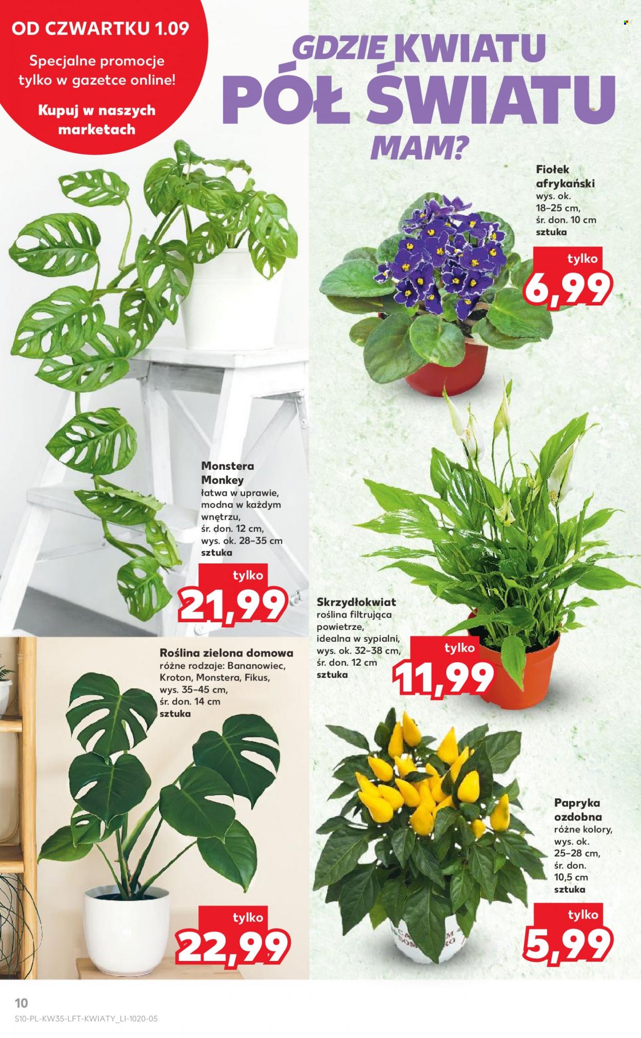 Gazetka Kaufland - 1.09.2022 - 7.09.2022. Strona 10