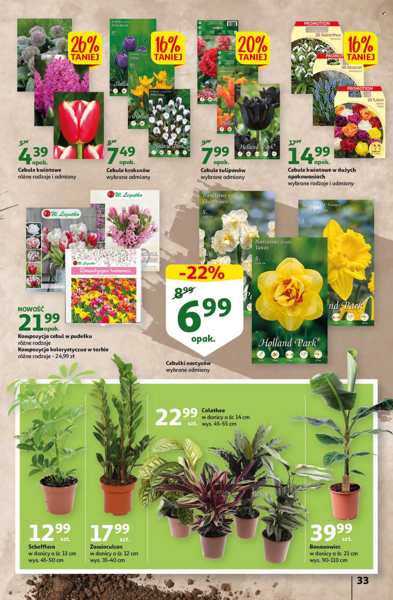 Gazetka Auchan - 1.09.2022 - 7.09.2022. Strona 33