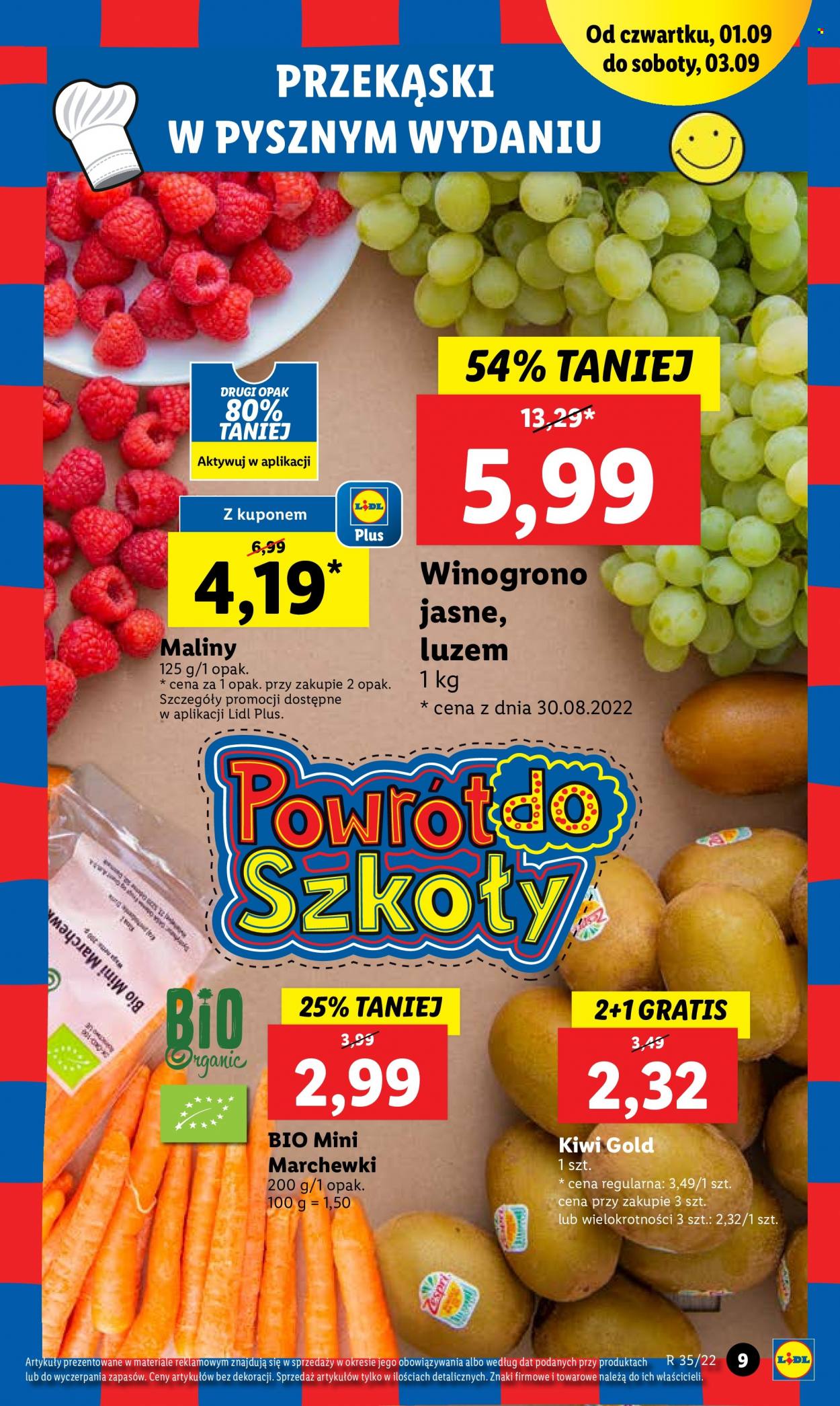 Gazetka Lidl - 1.09.2022 - 3.09.2022. Strona 9