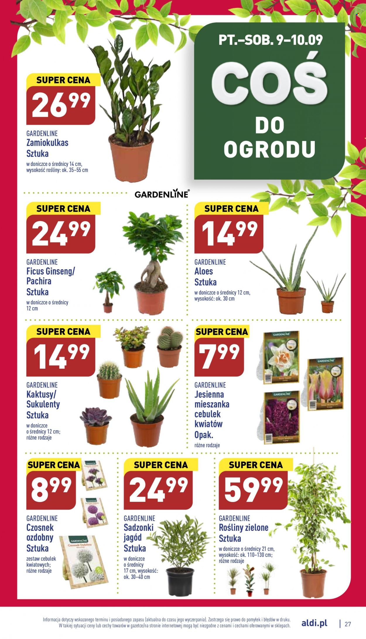 Gazetka ALDI - 5.09.2022 - 10.09.2022. Strona 27