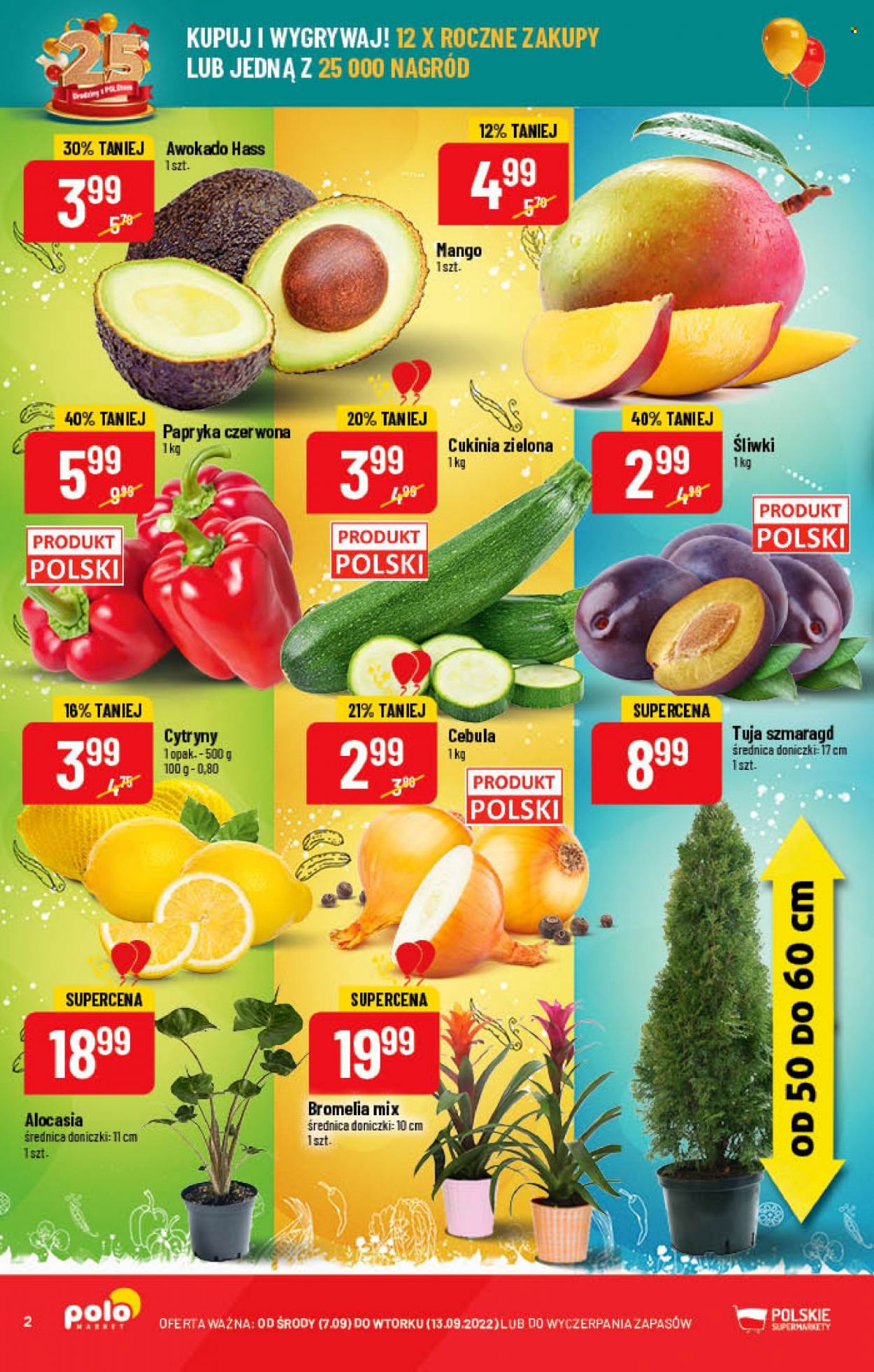 Gazetka Polomarket - 7.09.2022 - 13.09.2022. Strona 2