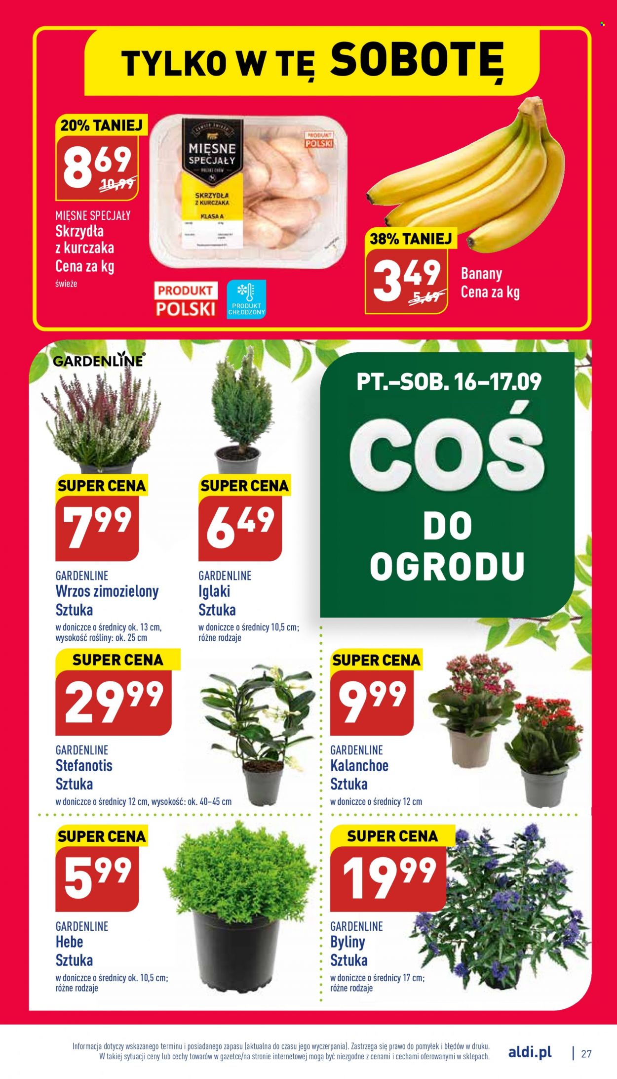 Gazetka ALDI - 12.09.2022 - 17.09.2022. Strona 27