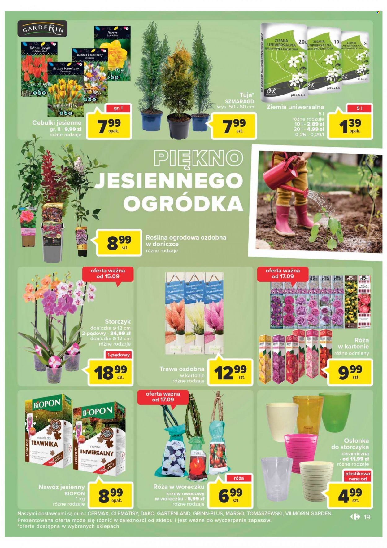 Gazetka Carrefour Market - 13.09.2022 - 24.09.2022. Strona 19