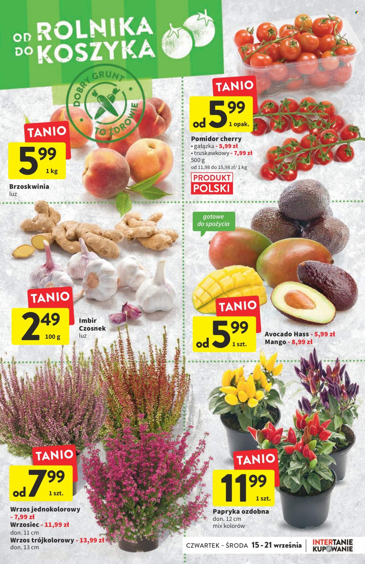 Gazetka Intermarché - 15.09.2022 - 21.09.2022. Strona 12