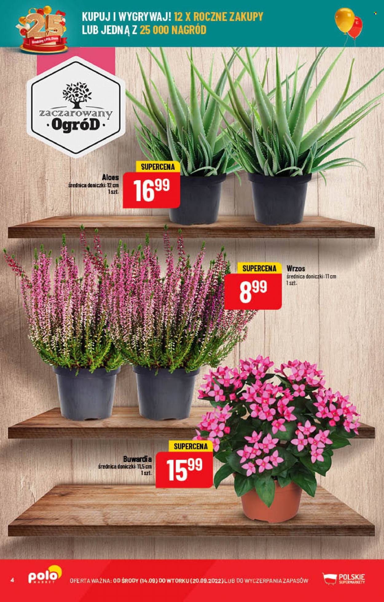 Gazetka Polomarket - 14.09.2022 - 20.09.2022. Strona 4