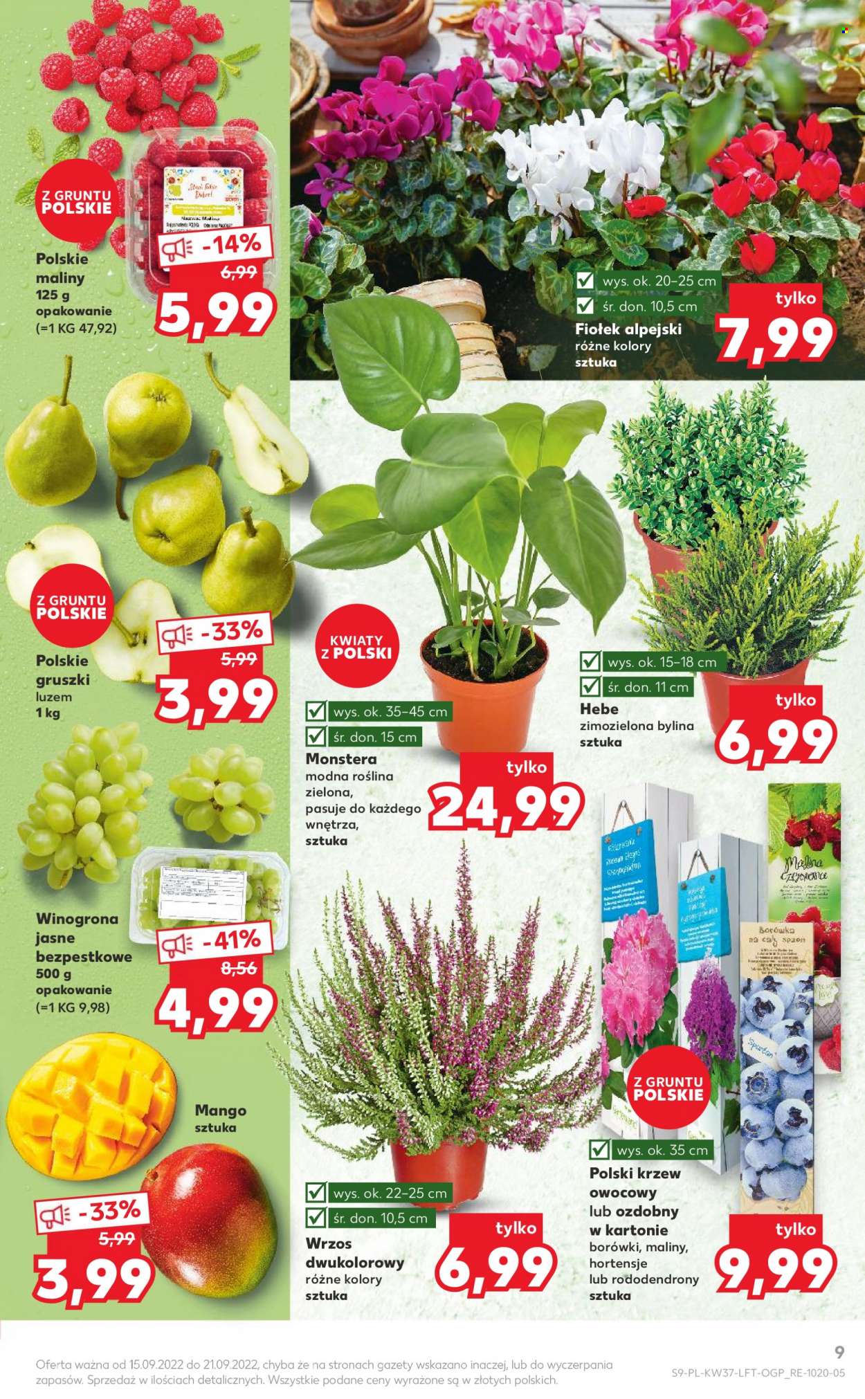 Gazetka Kaufland - 15.09.2022 - 21.09.2022. Strona 9