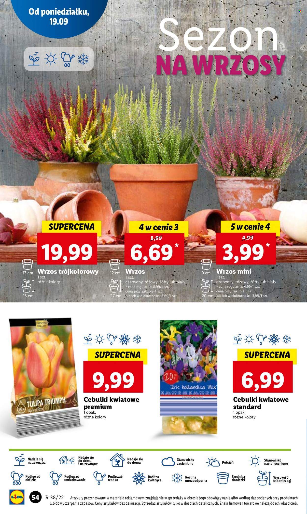Gazetka Lidl - 19.09.2022 - 21.09.2022. Strona 56