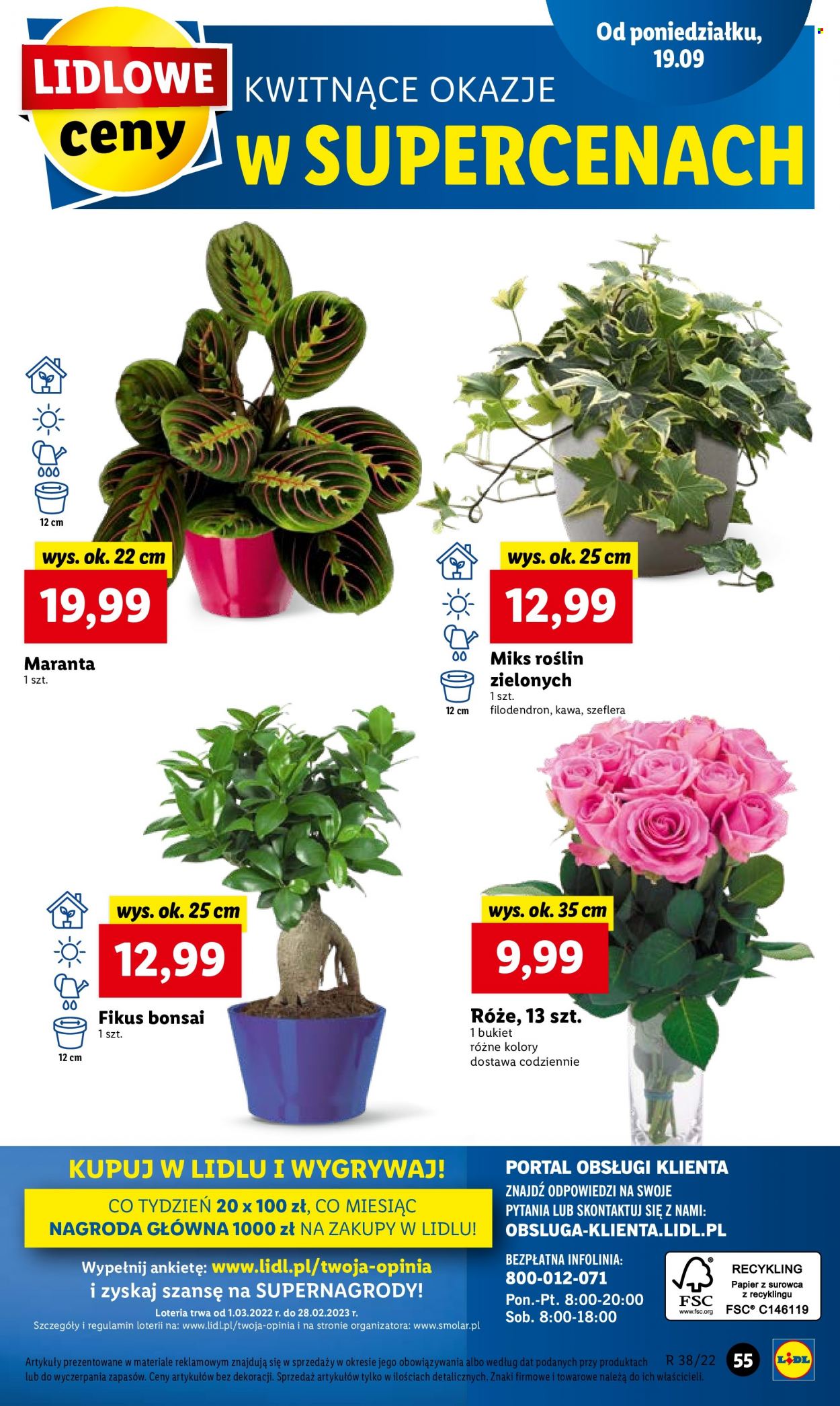Gazetka Lidl - 19.09.2022 - 21.09.2022. Strona 57