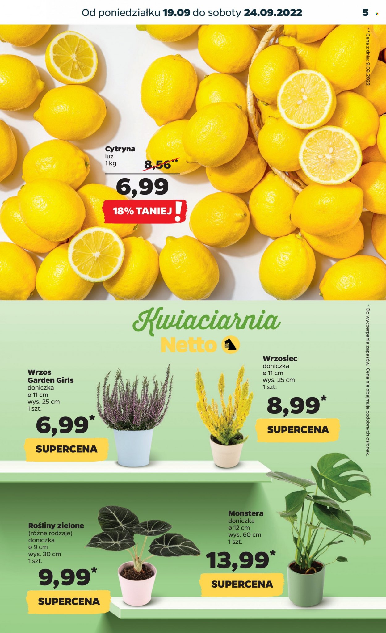 Gazetka Netto - 19.09.2022 - 24.09.2022. Strona 5