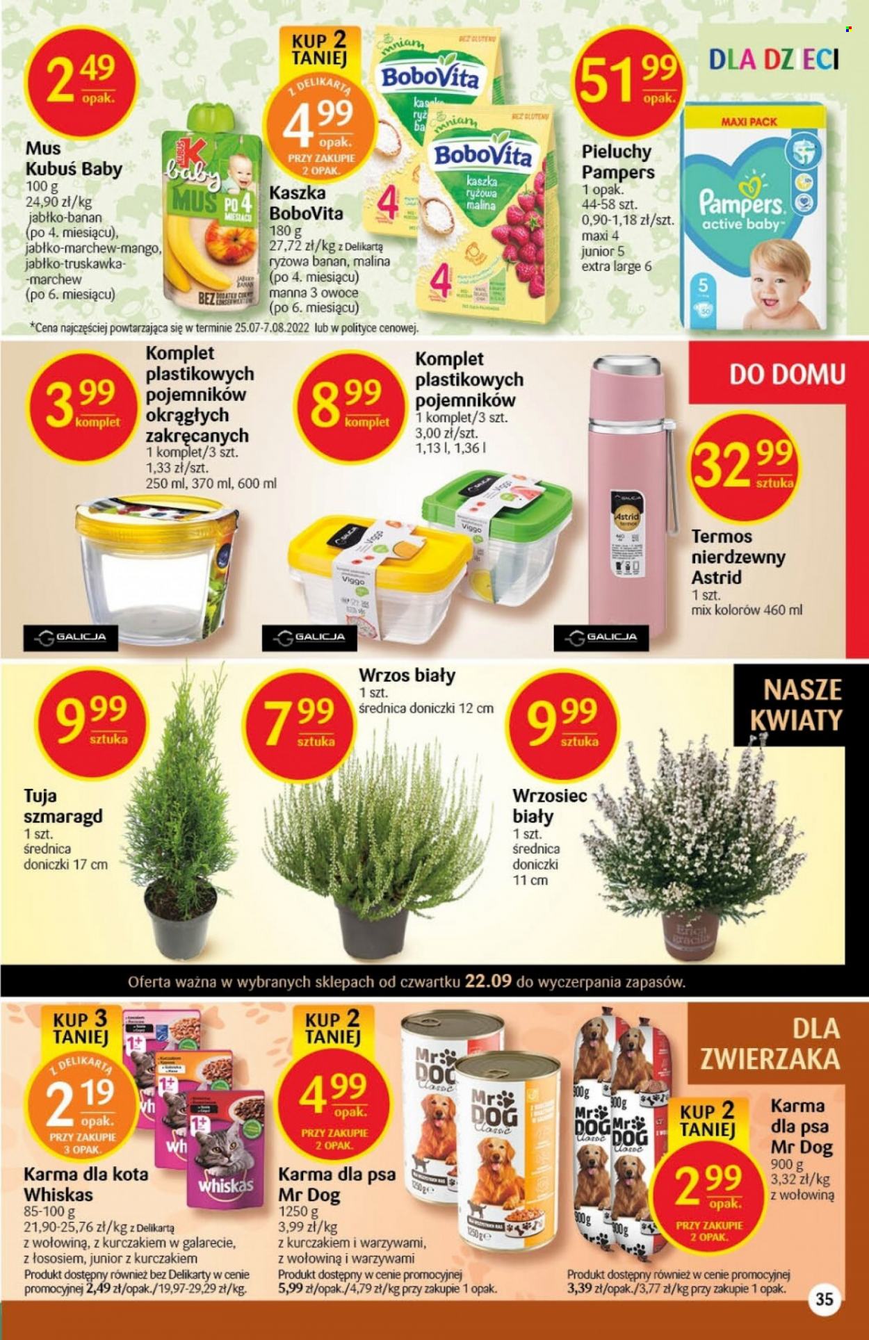 Gazetka Delikatesy Centrum - 22.09.2022 - 28.09.2022. Strona 35