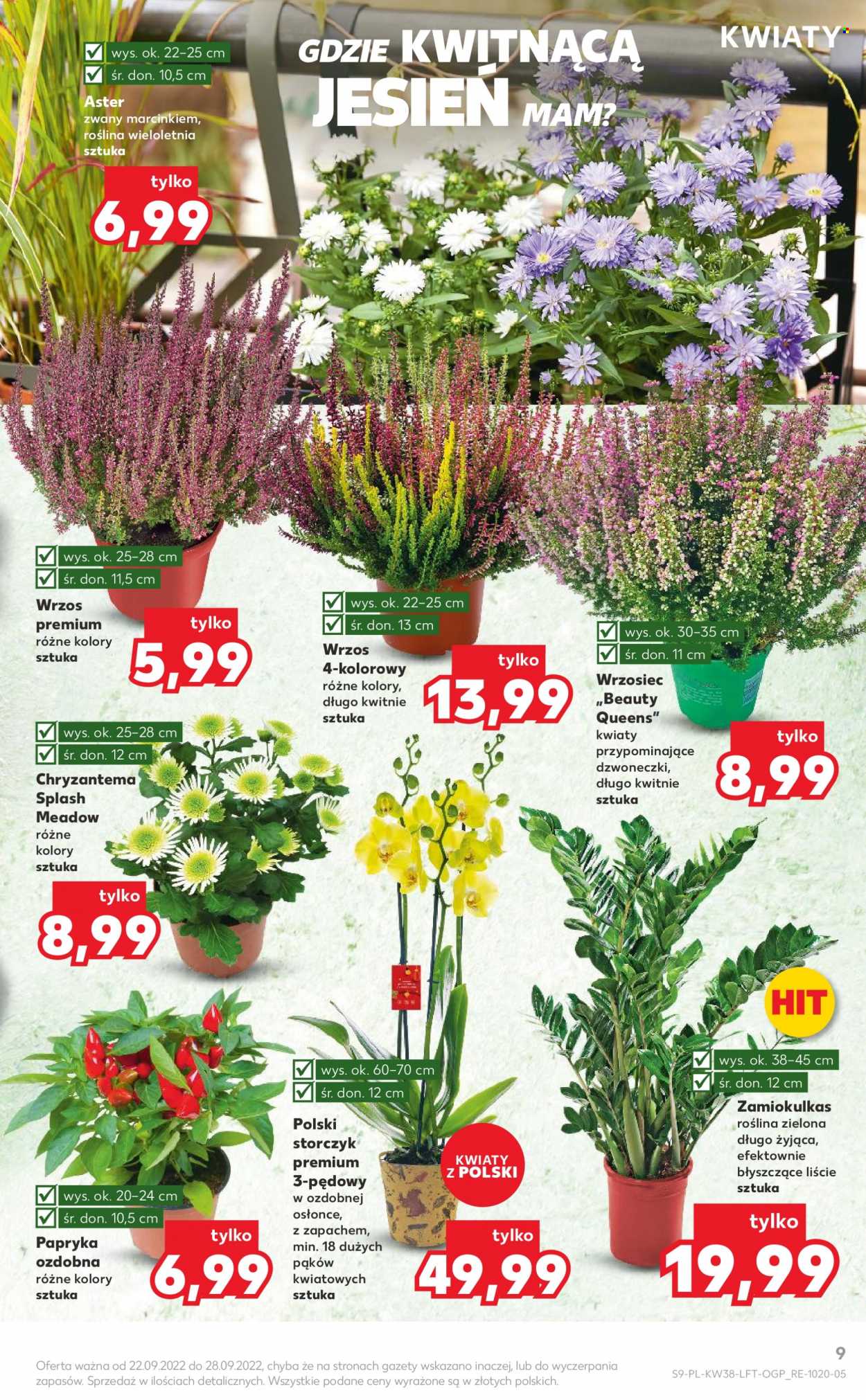 Gazetka Kaufland - 22.09.2022 - 28.09.2022. Strona 9