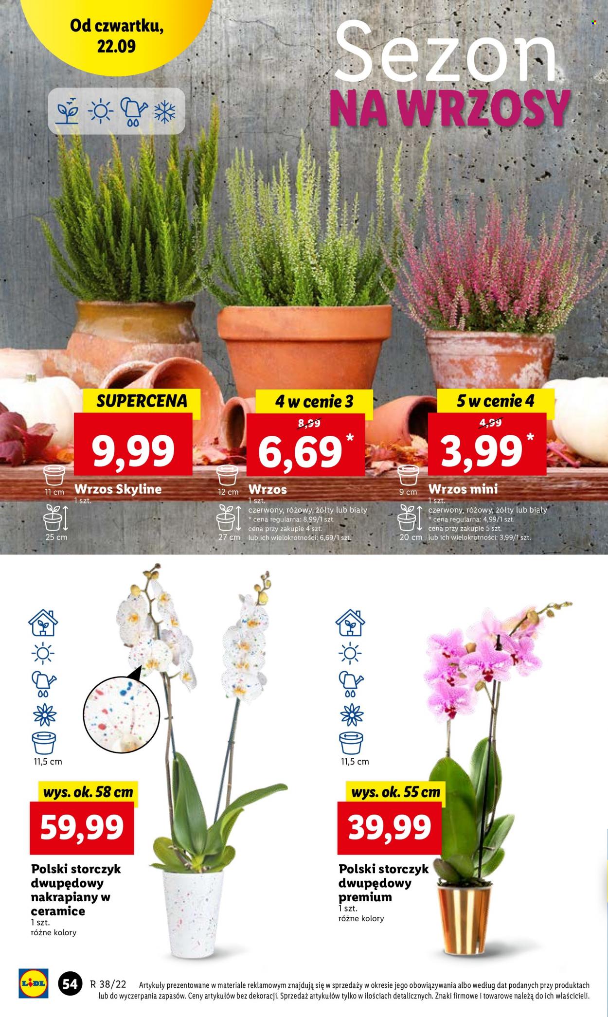 Gazetka Lidl - 22.09.2022 - 24.09.2022. Strona 54