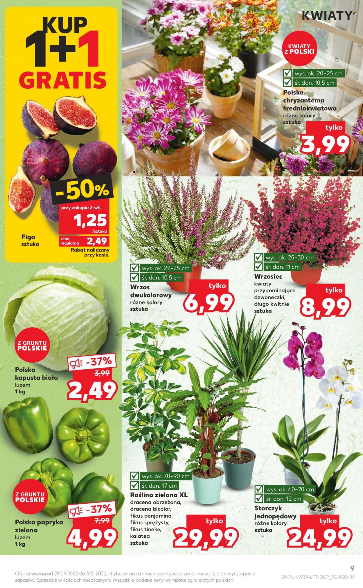 Gazetka Kaufland - 29.09.2022 - 5.10.2022. Strona 9