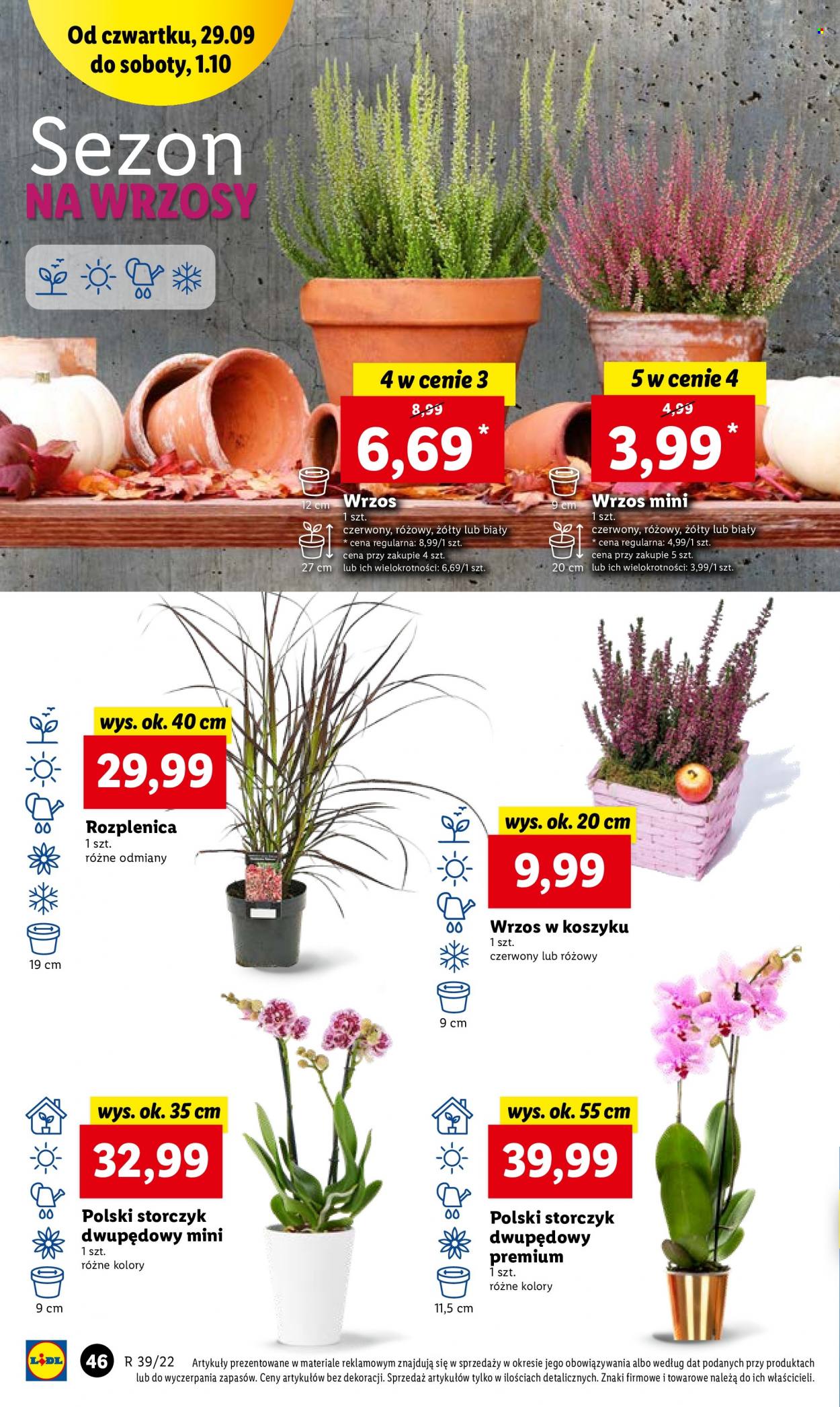 Gazetka Lidl - 29.09.2022 - 1.10.2022. Strona 46