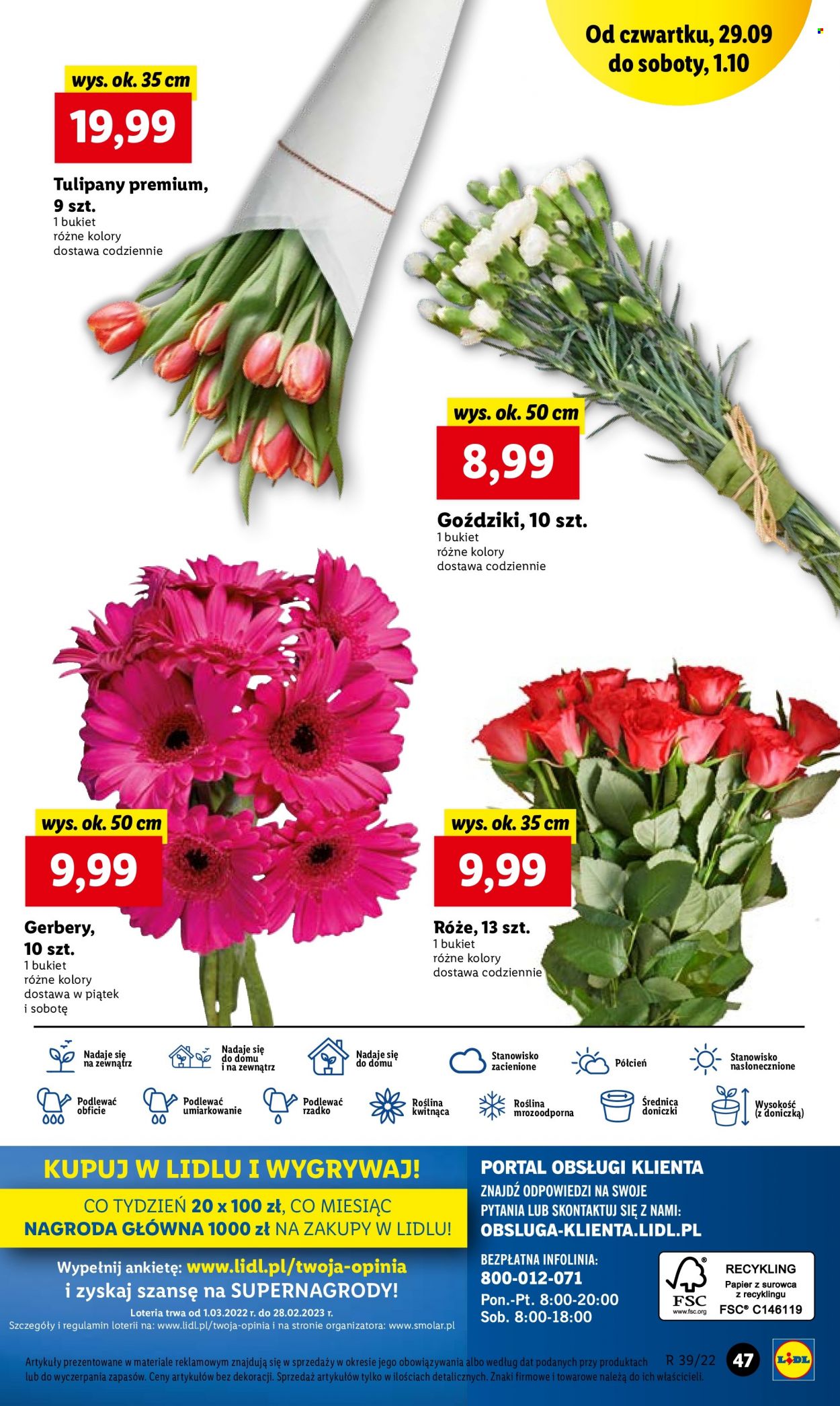 Gazetka Lidl - 29.09.2022 - 1.10.2022. Strona 49