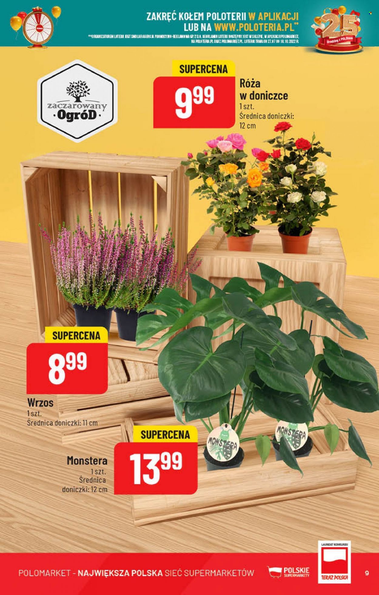 Gazetka Polomarket - 5.10.2022 - 11.10.2022. Strona 9