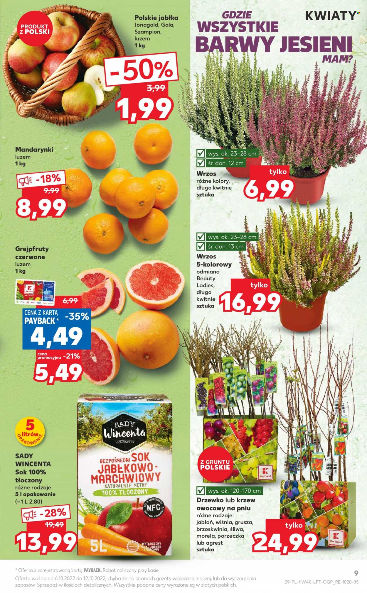 Gazetka Kaufland - 6.10.2022 - 12.10.2022. Strona 9