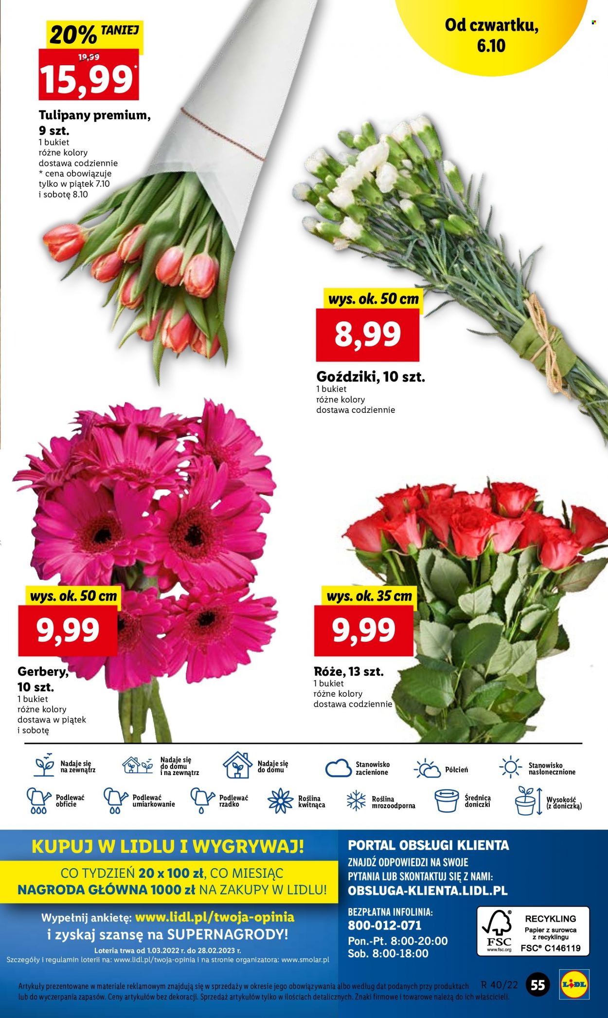Gazetka Lidl - 6.10.2022 - 8.10.2022. Strona 55