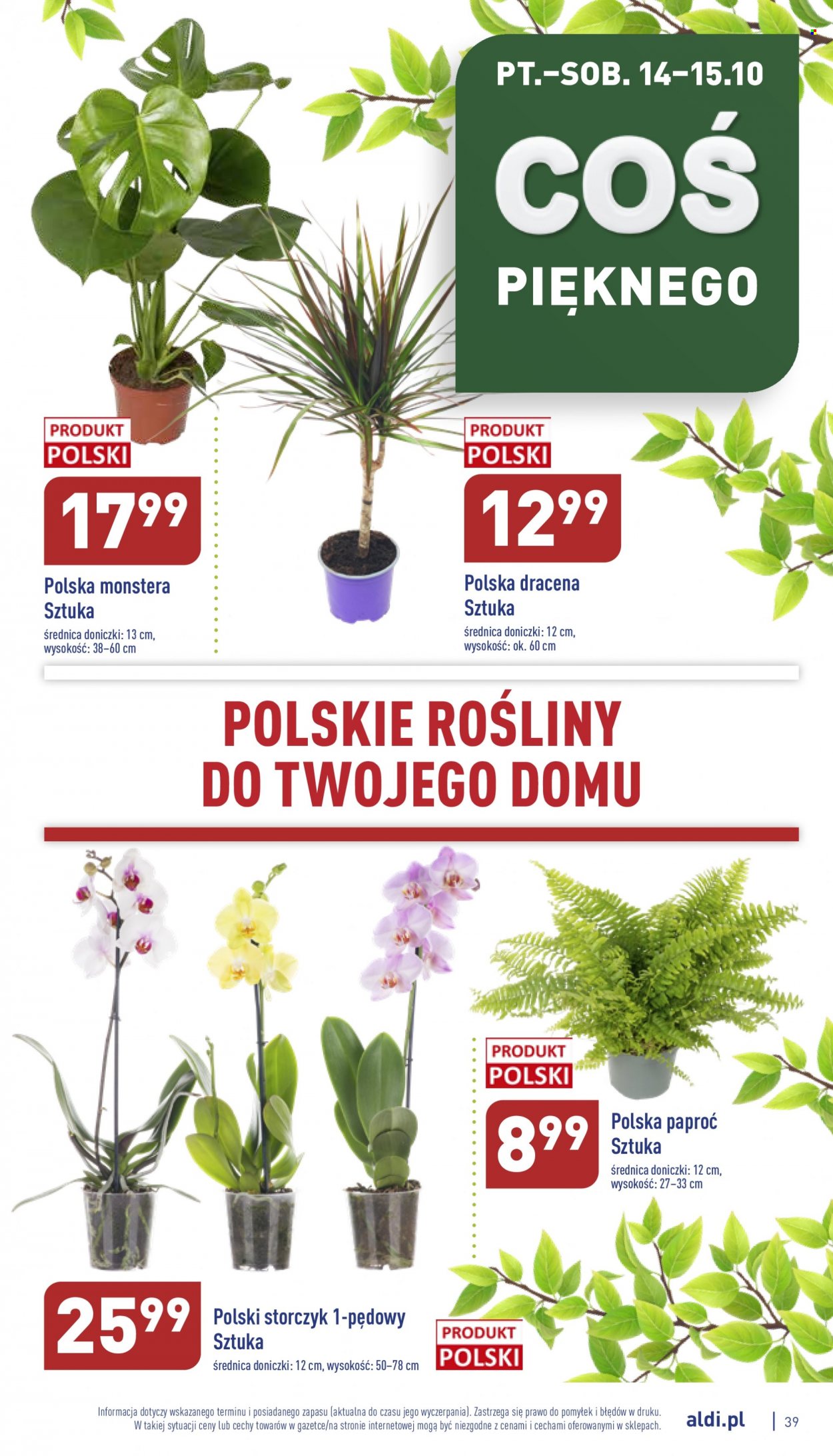Gazetka ALDI - 10.10.2022 - 15.10.2022. Strona 39