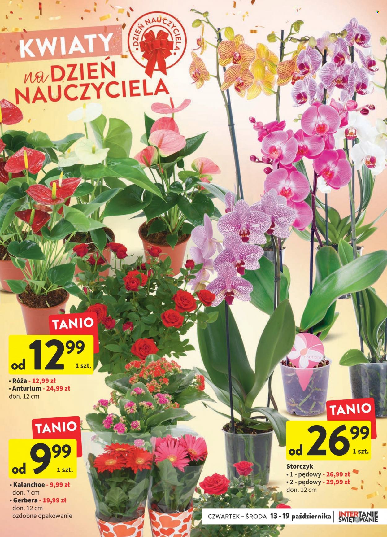 Gazetka Intermarché - 13.10.2022 - 19.10.2022. Strona 13