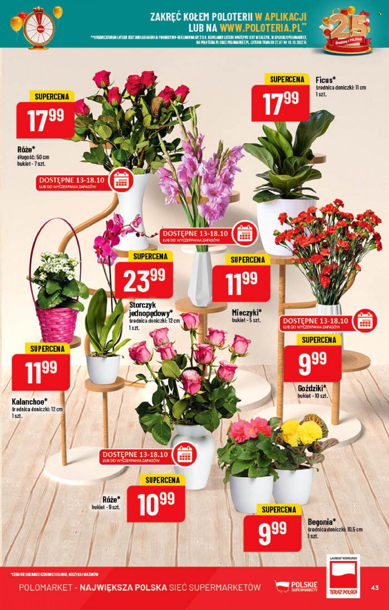 Gazetka Polomarket - 12.10.2022 - 18.10.2022. Strona 43