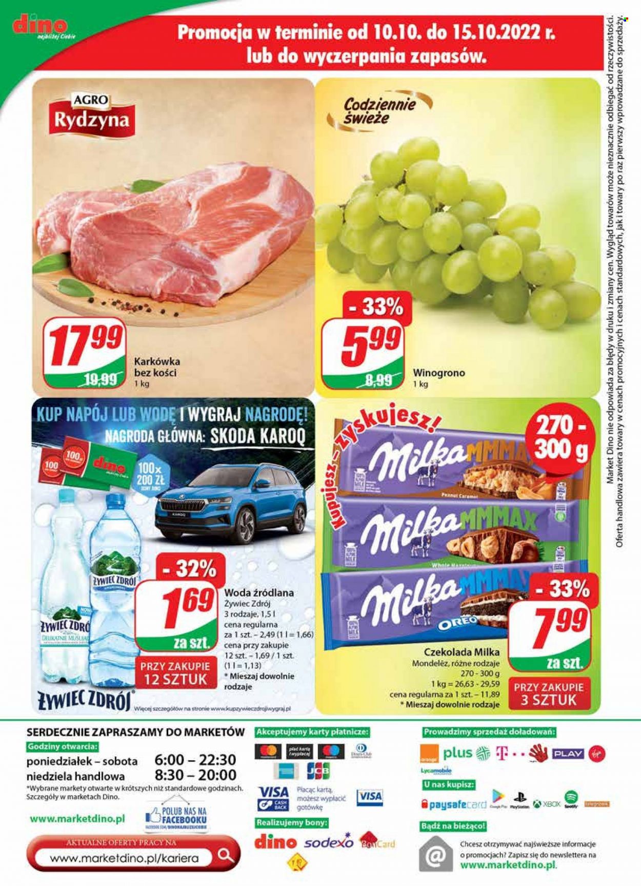 Gazetka Dino - 12.10.2022 - 18.10.2022. Strona 24